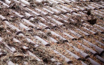 Newmills roof cleaning companies