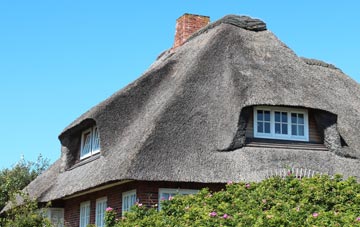 thatch roofing Newmills