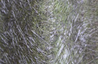 Newmills fibreglass roof work